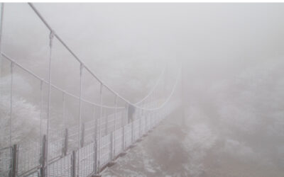 The Fog of Grieving